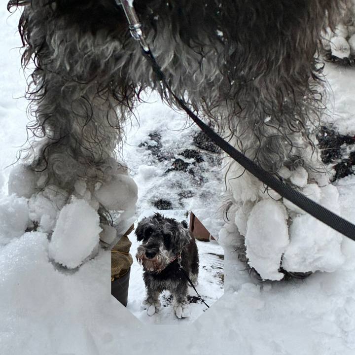 0e85c596 d6c5 4628 91c2 a4a6e814526d 1767009724576