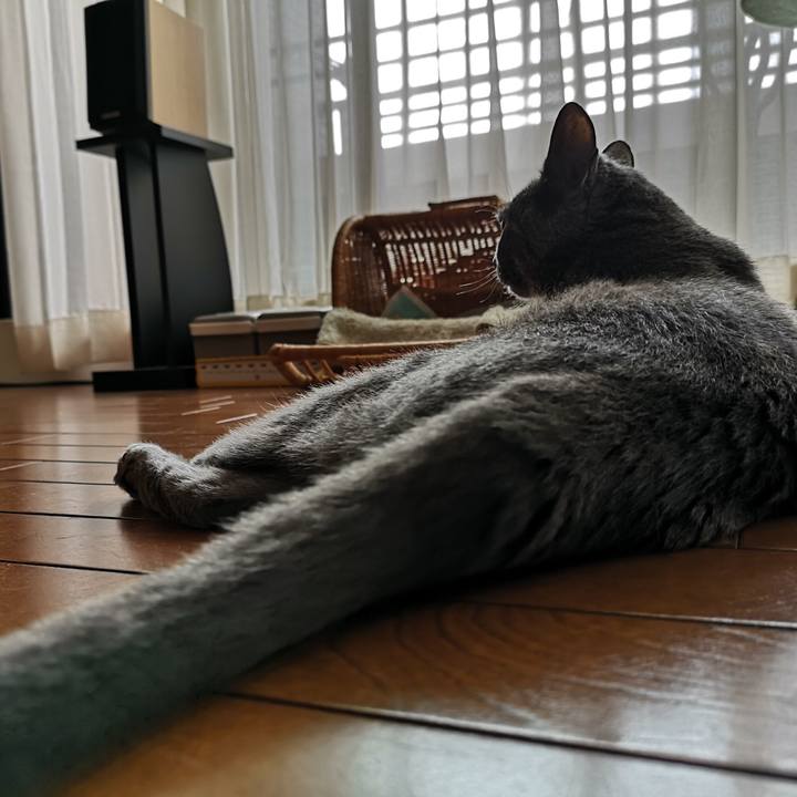 0e85c646 a84f 44f9 a3fc 6741e2f16a87 1596838007909