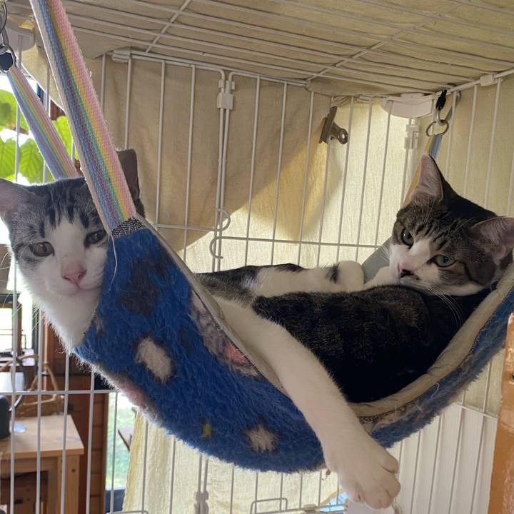 0e85f64a b57b 4d2f 9a2f c45df4ec752f 1756438116188