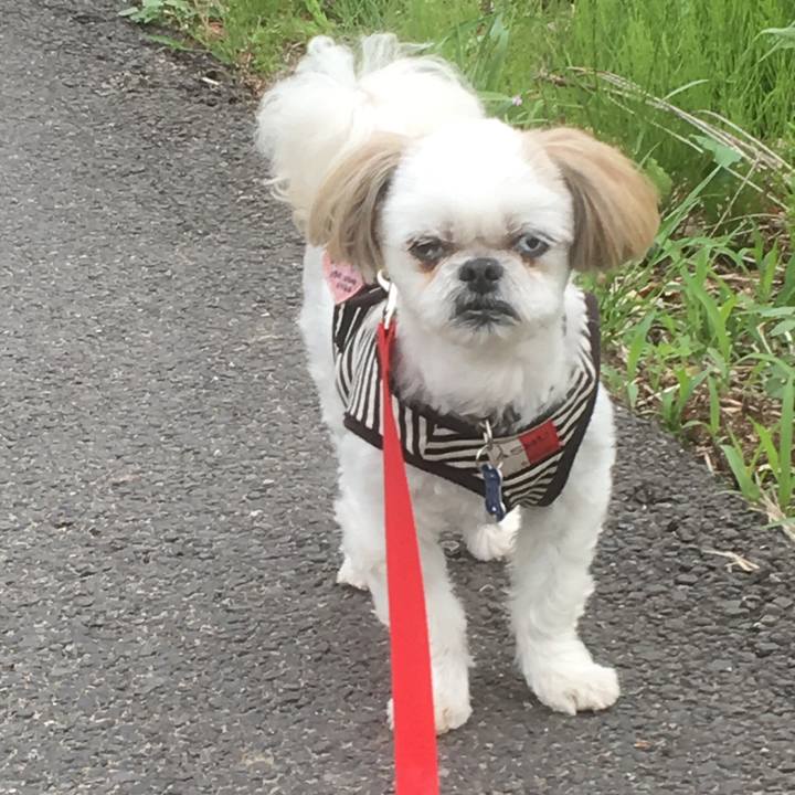 0e85f7f3 f148 4437 bc0e 3576a1e5eb35 1531703906058