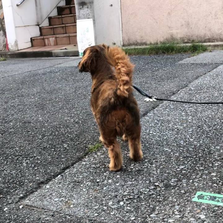 0e8615c7 2608 4713 89b2 2853aa92157c 1627046521819