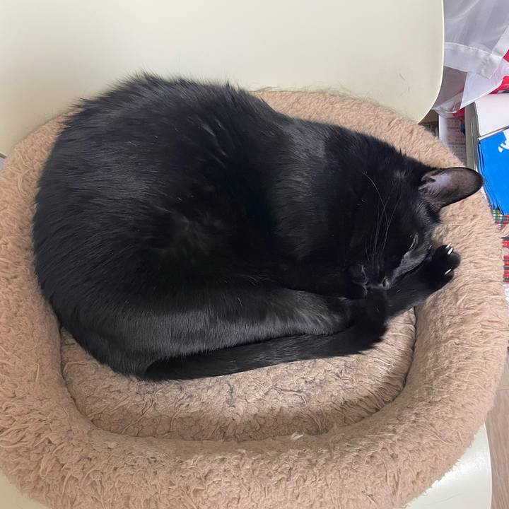 0e861c56 80fd 459d adaf 92478586fce3 1645706352738