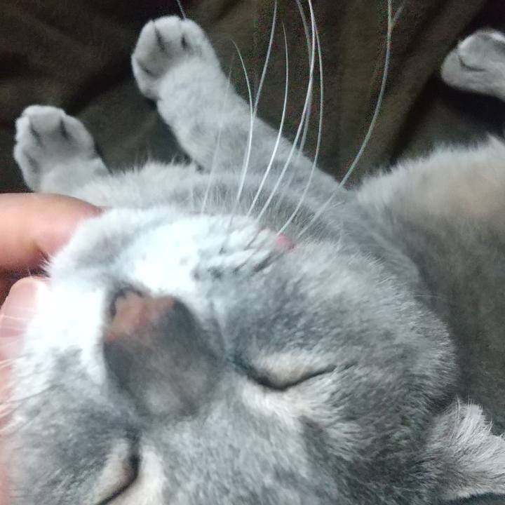 0e862d50 8b62 4e74 a92b 853fe73a58d8 1613052854131