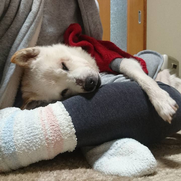 0e863dac 37ab 472e a7d3 f5eed2dd634b 1544450228920