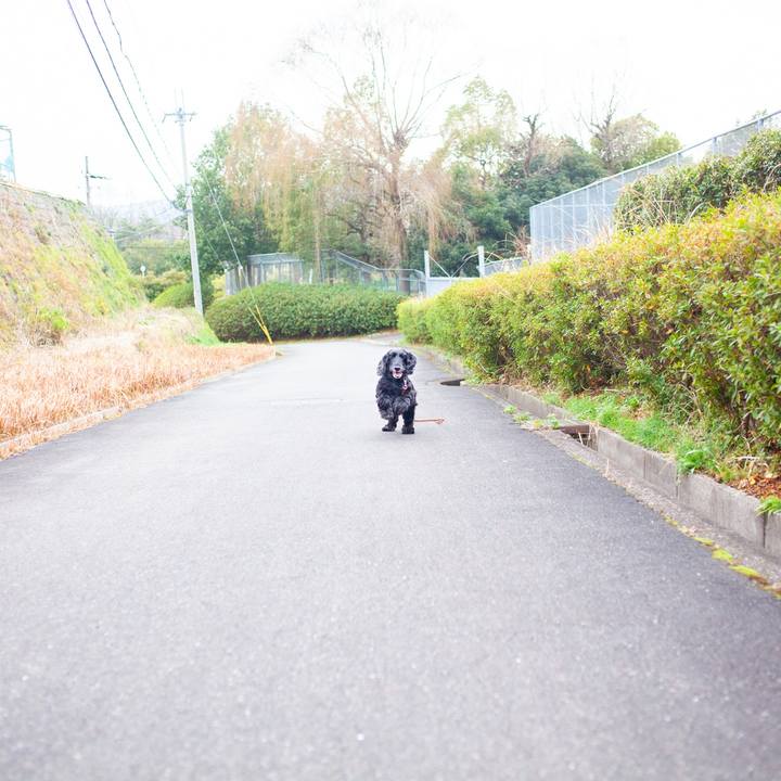 0e869190 57bb 4a69 8878 24602ee569bd 1579939521292