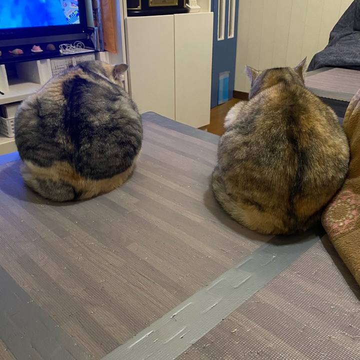 0e8694ec 6b69 4e17 93ca a52654abc3b1 1648910759622