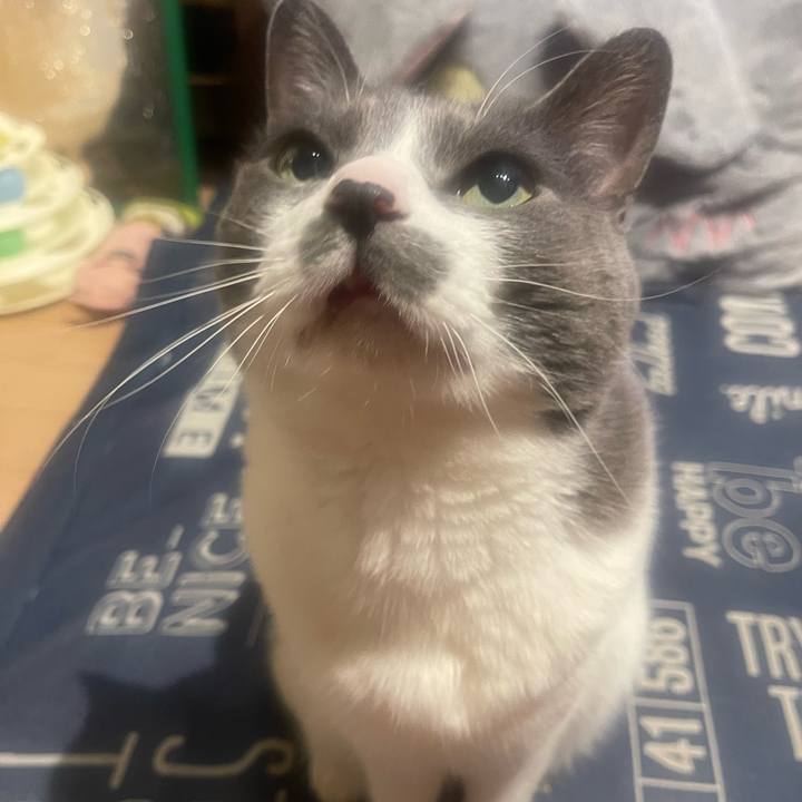 0e86cd09 7ddc 4657 bf86 d2911e81c344 1745078044454