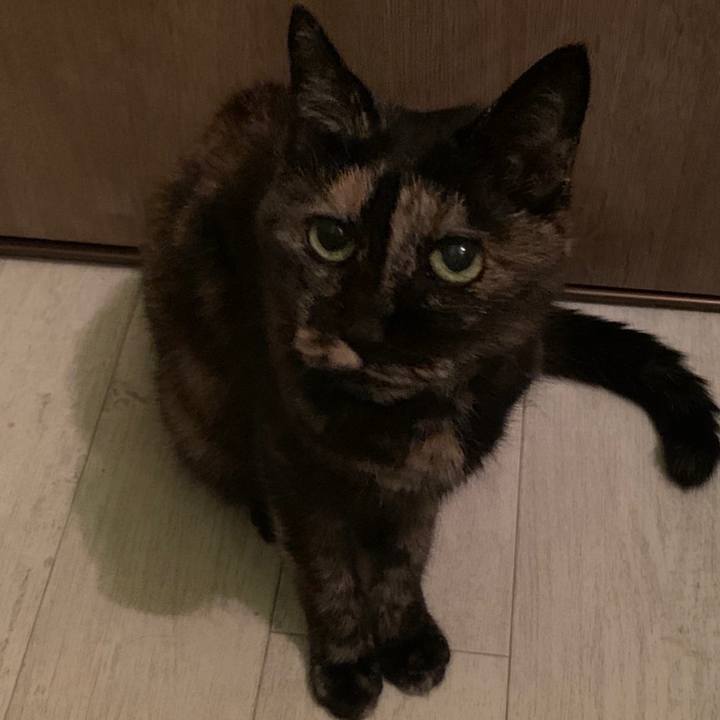 0e86d437 b0dd 462e ae89 fb1ef7fb8f7c 1647571172024