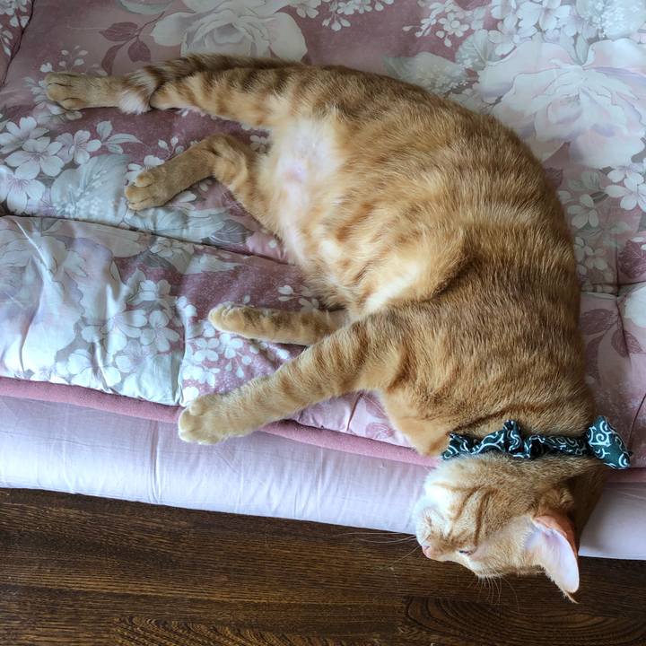 0e870b5a 0076 4f08 a658 6f7b8d161045 1557103682402