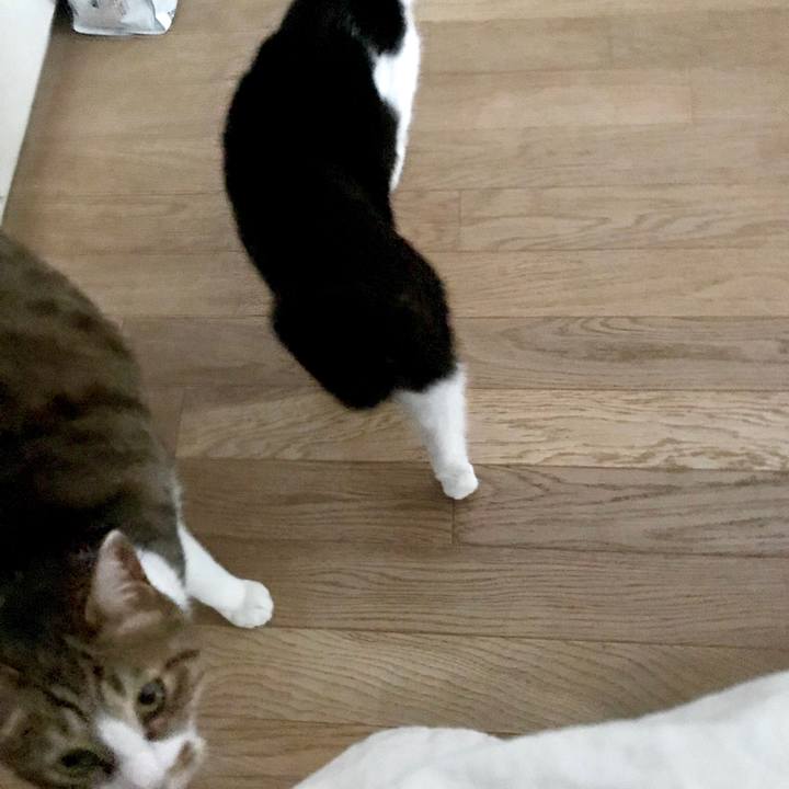 0e8710dd a20b 43dc a3f6 273f95a72e0f 1525229059049