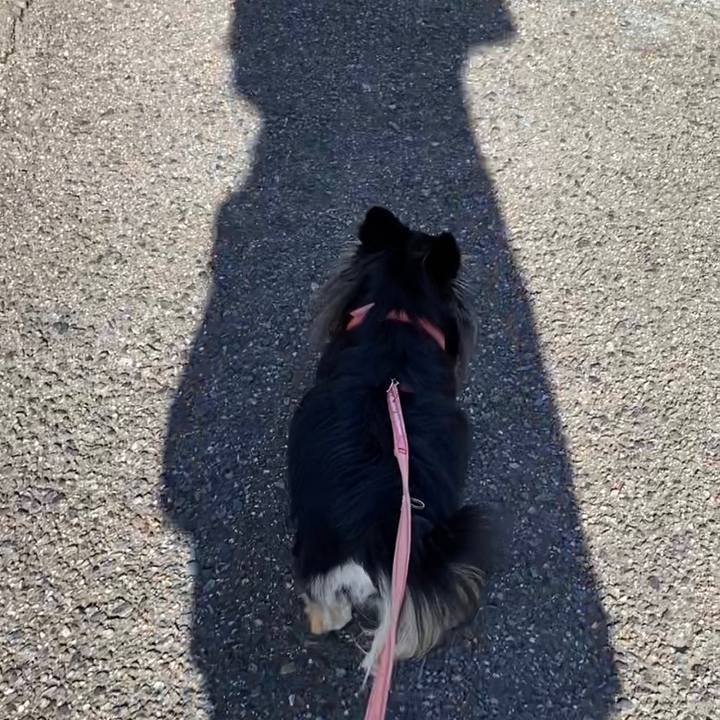 0e872aeb da53 455b 955a f4f54bb4aa1a 1658620119666