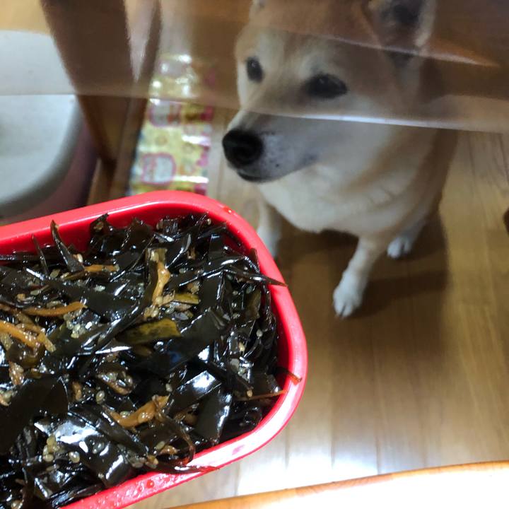 0e875b53 04ca 438d 866d 0e39e4034adf 1564705669854