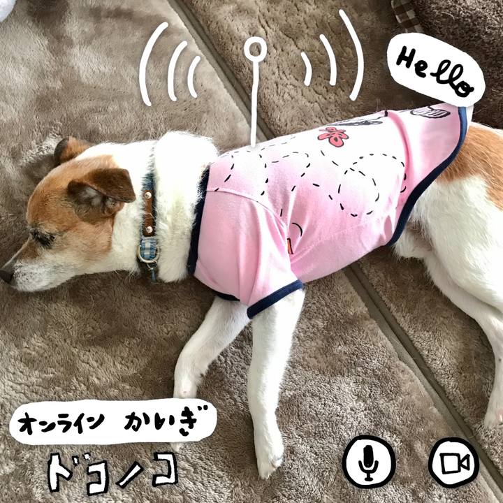 0e876aa6 10a4 4009 bcbe 42c7f5b06d2c 1590836846794