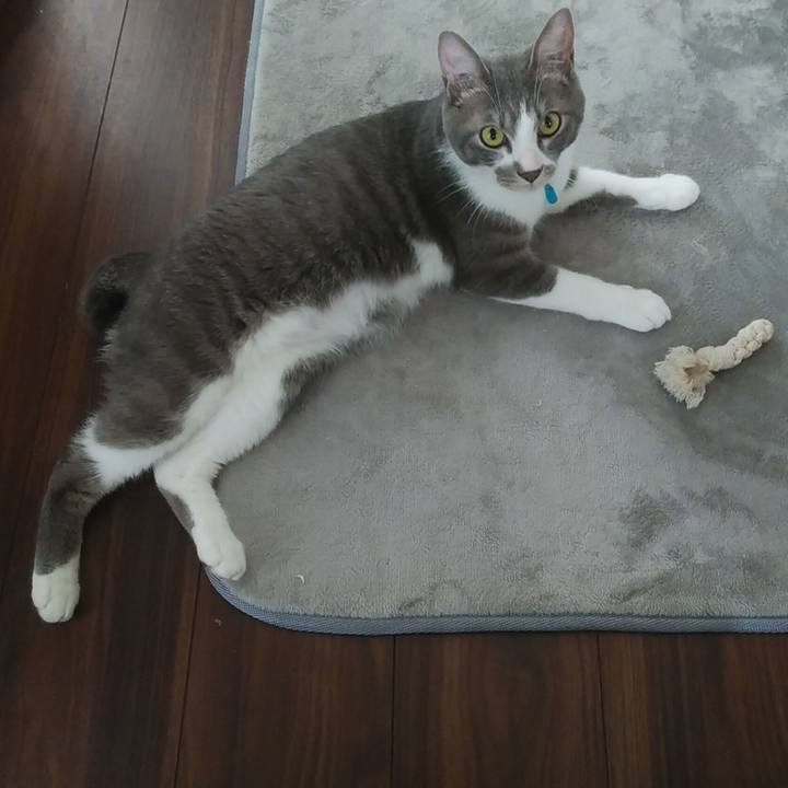 0e876cdb a8a5 4b51 85ba 068a9f5710ef 1591833944584