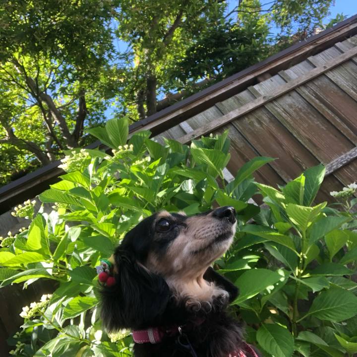 0e877eae c50a 4cda 9121 6e9a5a512e8c 1559175758559