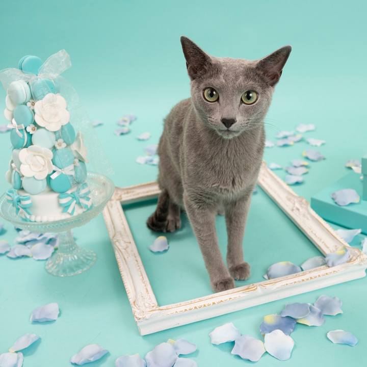 0e877fae f66b 4f55 8daf ed248d401273 1656162108063