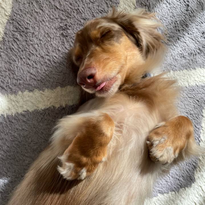 0e87817b 49b9 4ece a75f aa491a083dc0 1761553898613