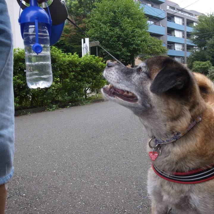 0e878ca5 5359 430f a2e2 5f357afe4edd 1613003664076