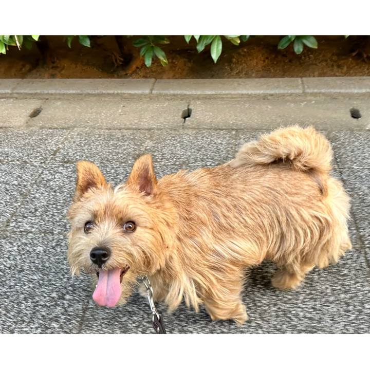 0e879c5b 9b1d 40a9 8299 9783a5263459 1755849447133