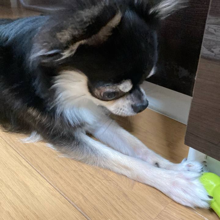 0e87dfc5 47e1 4243 842c eee23685e09e 1621691454000