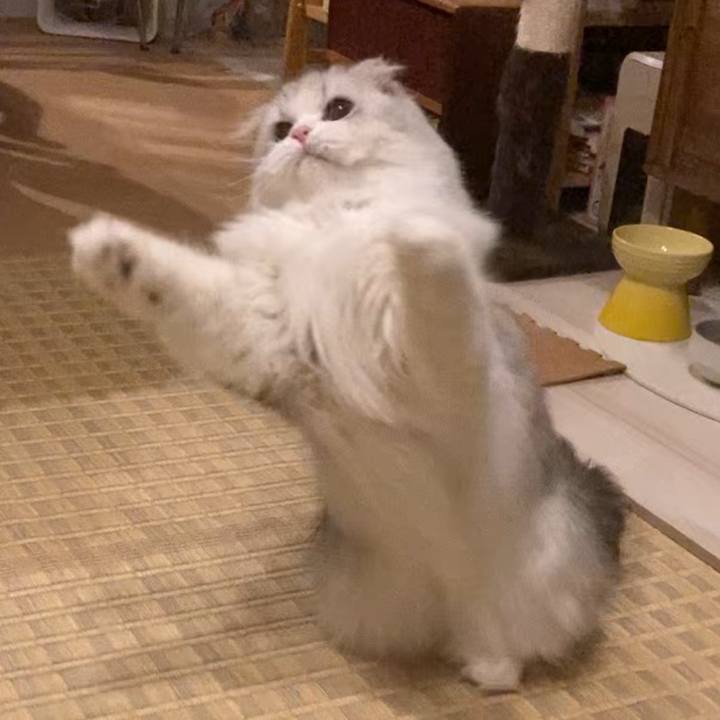 0e87f029 c712 4a90 9b26 f8691b90efb9 1682142033824