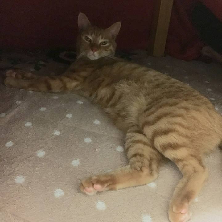 0e88253a 1b01 4753 81a1 f4dc2f5647ff 1511693248358