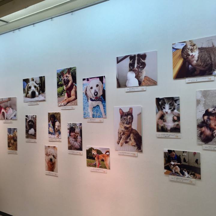 0e885f17 586d 4c66 9d96 59167644b5a0 1538739127082