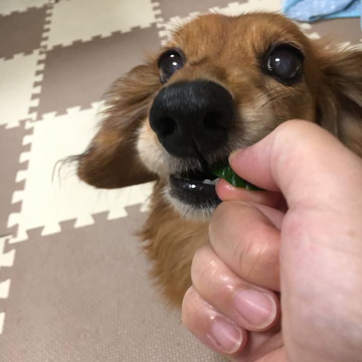 0e887cc4 1ff2 4e9f 8933 2179c91088d1 1565098182178