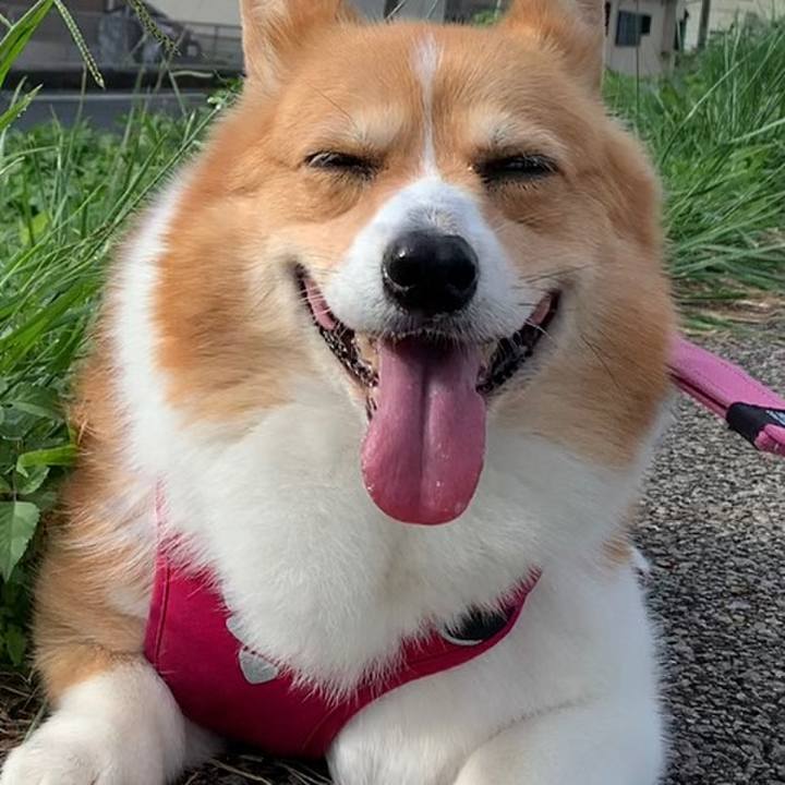 0e88a434 03f4 450b b8a9 60206b324dc4 1658536369762