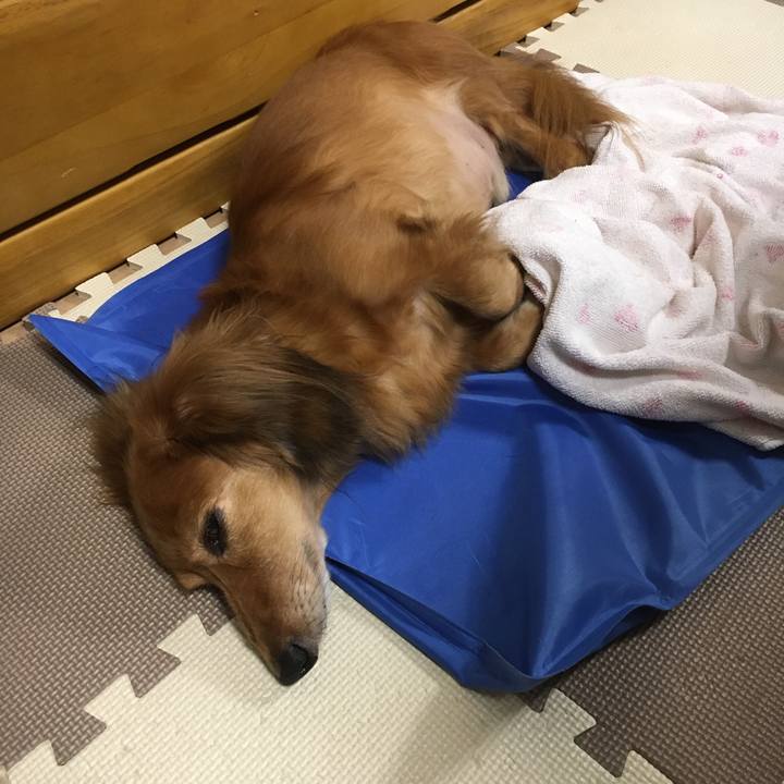 0e88a942 cf6b 488d a5fa 48358afdef53 1570716913090