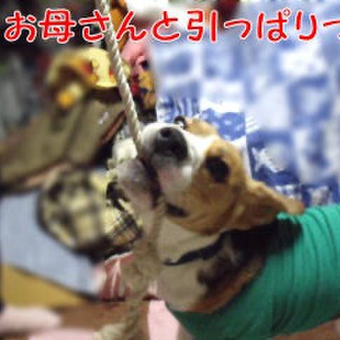 0e8900be 0544 49e4 8b10 43d722137fc5 1712361627083