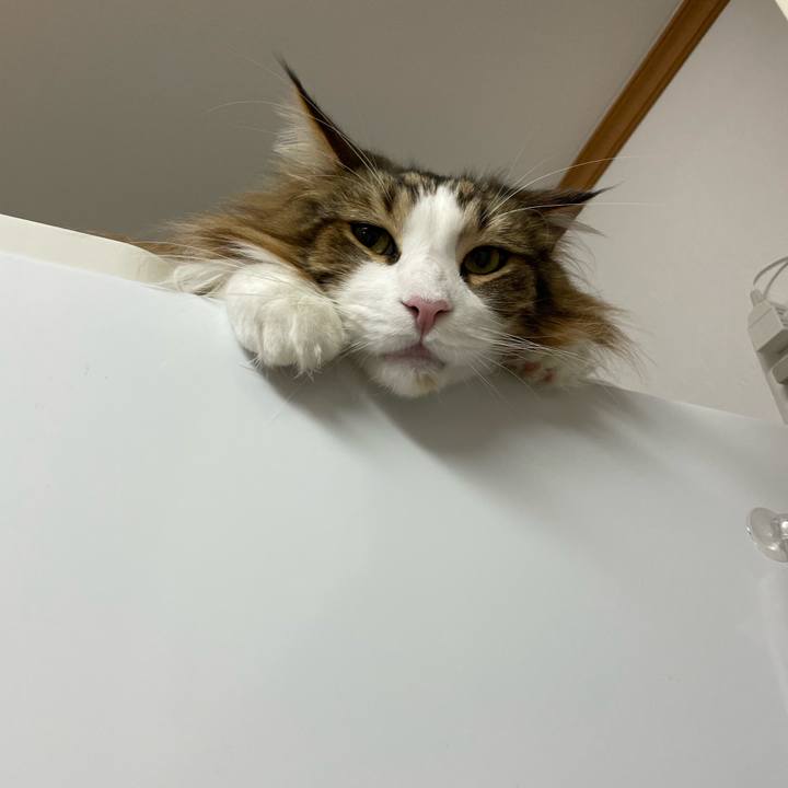 0e8931db 3442 49f7 b5e2 25fae549c482 1682278930459