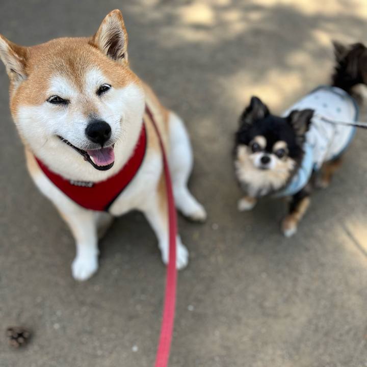 0e89677f 1b0a 4046 8e8e 2a005f1c5753 1683003955214