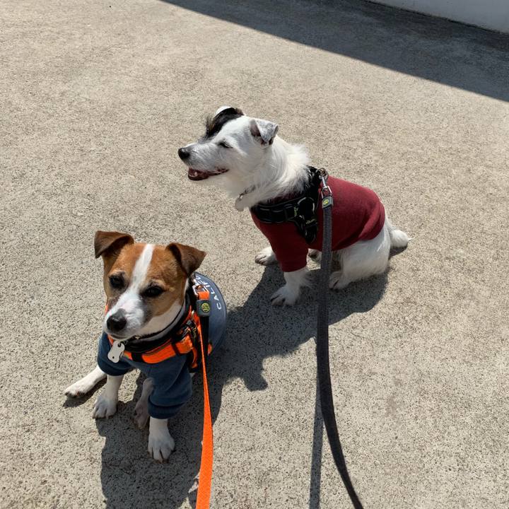 0e898e9a 6f96 48a6 96de d4270bbe8a0c 1554513902243