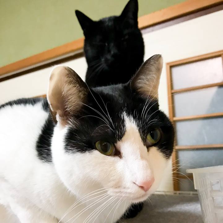 0e899fce d53e 4c98 abcf a7fc3bf75146 1519471557645