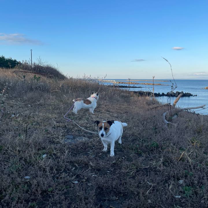 0e89edf5 4d53 4d50 a46e 28b14efe9f6c 1763862734285