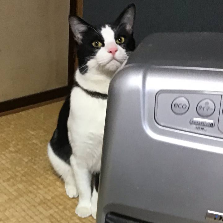 0e8aada3 54c6 4c59 ac8d a2009fb15b55 1646814644567