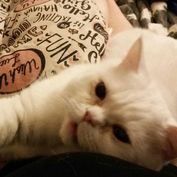 0e8ac65c 72a1 4e80 9e6c c88d55897c0f 1513861967885