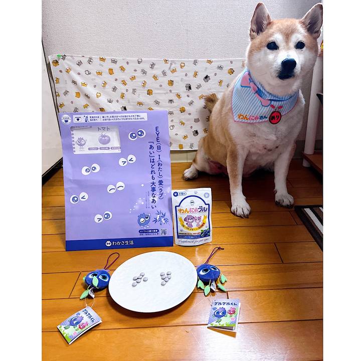 0e8afa00 c8a9 4657 b562 7adaa0f7b45b 1721027927785