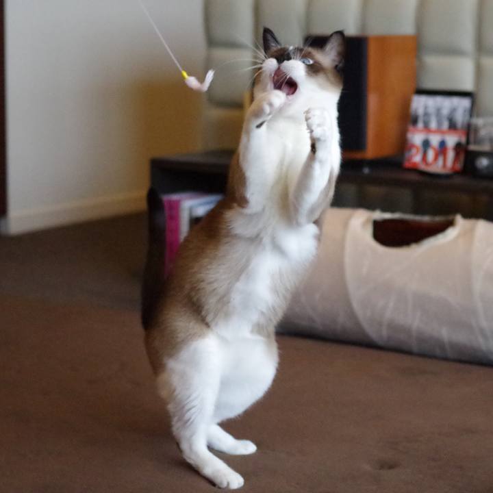 0e8b46e7 63e3 4290 acdc 64c7beef7eaa 1535600633631