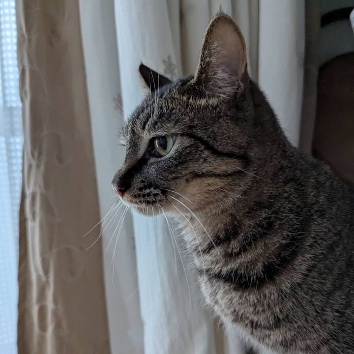 0e8b47fe a181 4efc b538 77ea39818821 1745823823367