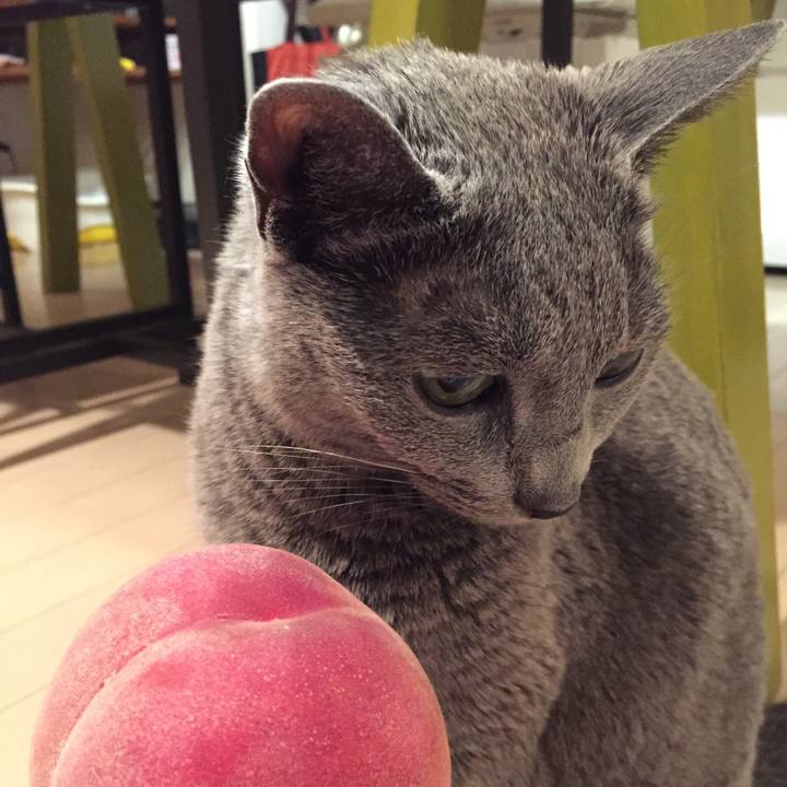 0e8b4a11 da4e 4232 a07d 3bf33354d016 1562196168800