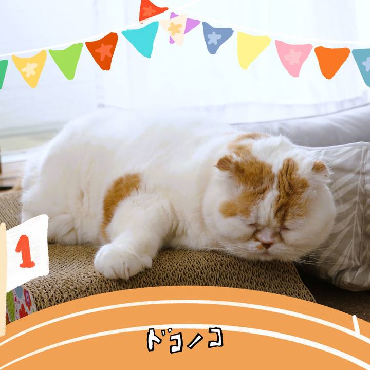 0e8b60ca 890c 4e76 b230 f627e536d082 1761283333077