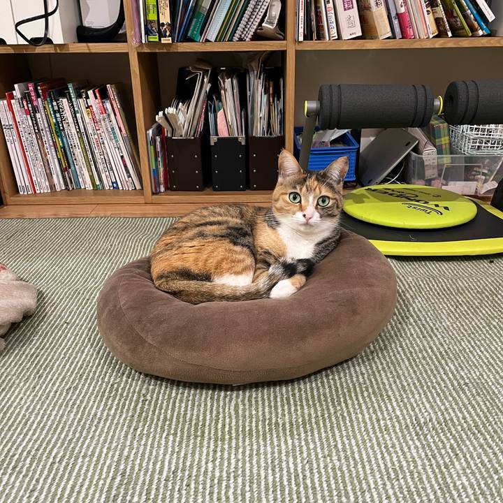 0e8b63cc 3505 4c9c 8720 cfe1e457f8a9 1710816986500