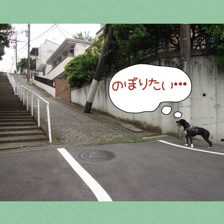 0e8bb976 f3eb 46c7 936d fde662b7321f 1655512923916