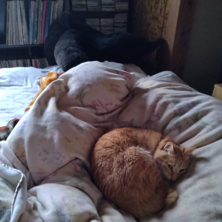 0e8bd58d 915c 4e0f a3f9 588dfefd72b9 1682809640693