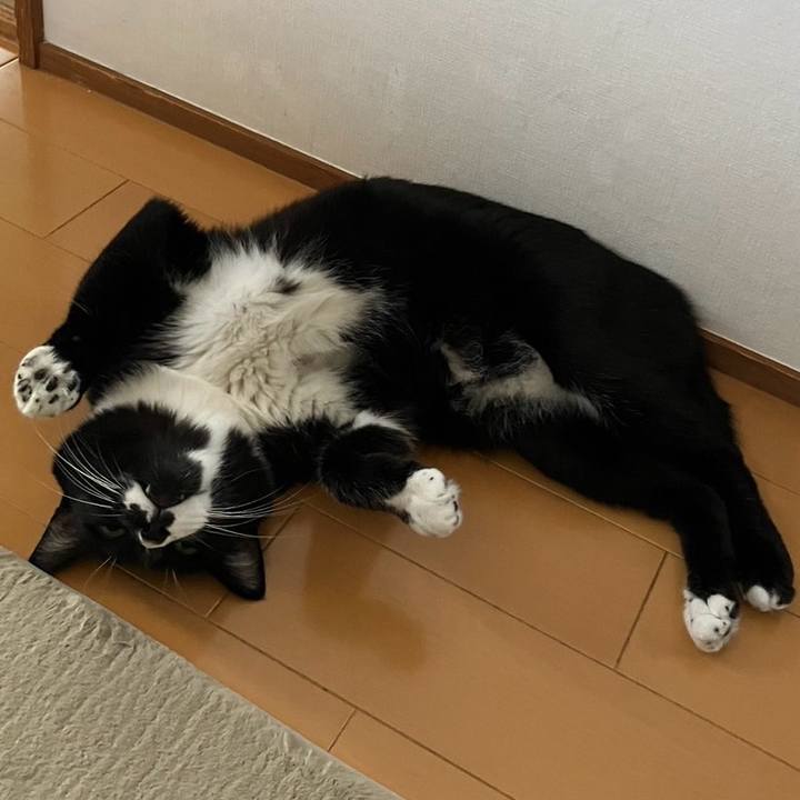 0e8be3d6 05c2 4383 a842 dd5932f9362a 1726112151284