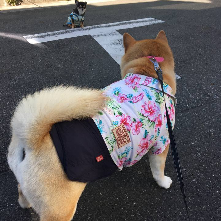 0e8bf4ce d29f 4fea 9429 defb1174835b 1572924552947