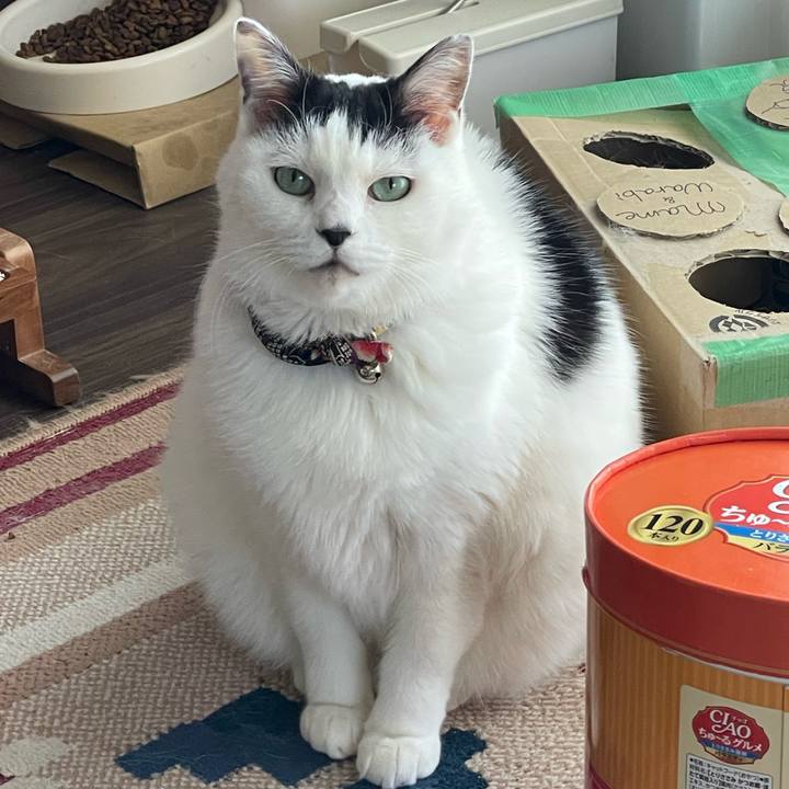 0e8c1a69 56db 4f1a 9ad8 2e7e1e189acc 1734842221192