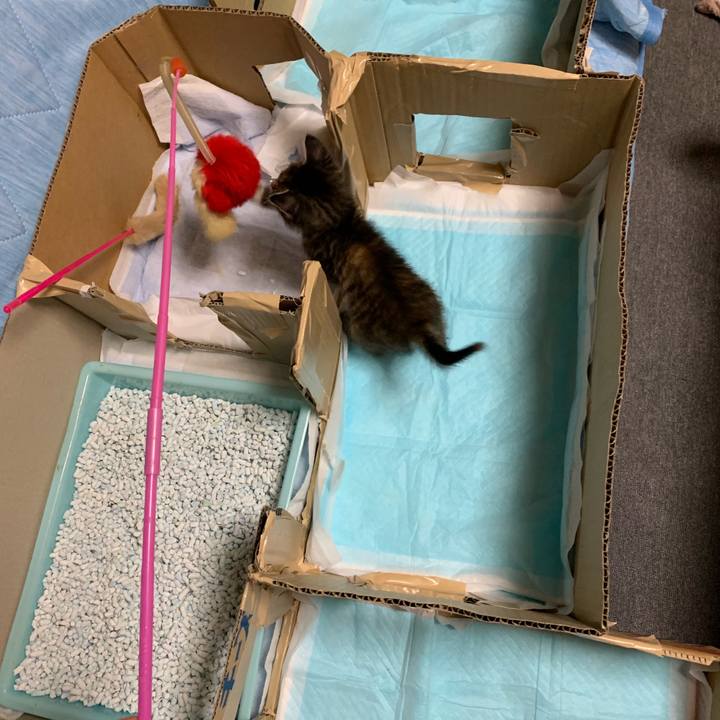 0e8c7925 a816 4a99 93d8 a86219024458 1557499991766